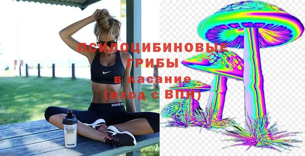 прущие крисы Белоозёрский