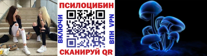 Галлюциногенные грибы Cubensis  Кондрово 